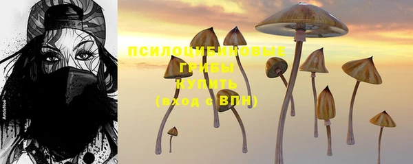 хмурый Алексеевка