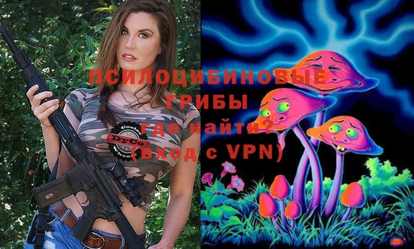 apvp Алзамай