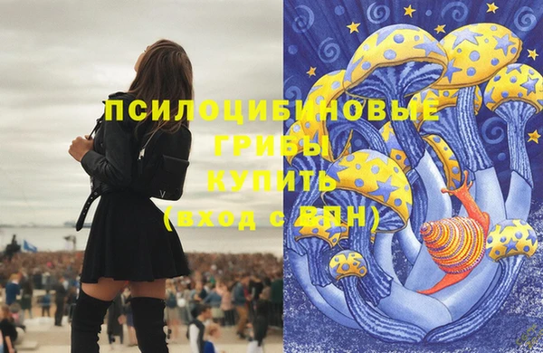 скорость Алексин
