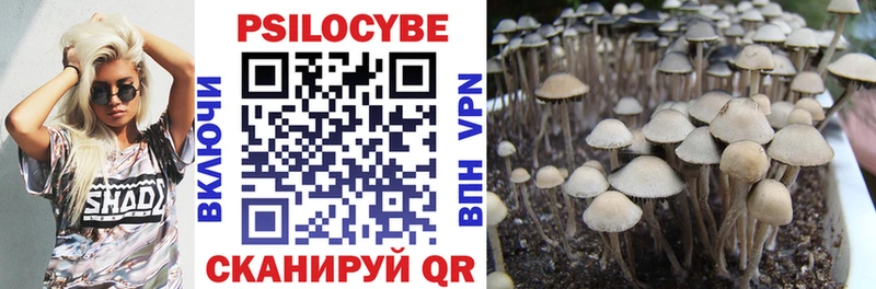 hydra вход Алупка Псилоцибиновые грибы мицелий